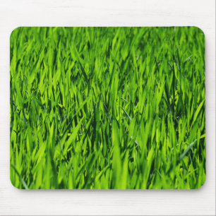 Tall Blades of Grass Mouse Pad