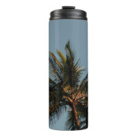 Tall coconut tree