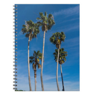 Tall Curving Palms Spiral Notebook