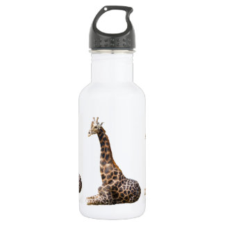 Tall Cute Giraffe Real Animal Photo 532 Ml Water Bottle
