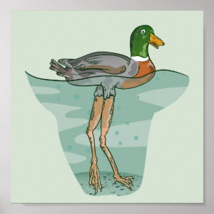 Tall duck with long legs poster