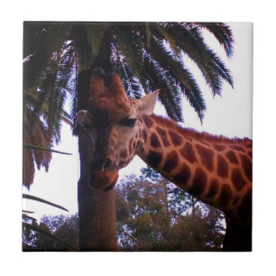 Tall Giraffe Tales Under The Palm Tree, Tile
