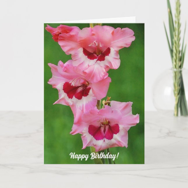 Tall Gladiolus Pink Flowers Floral Birthday Card (Front)