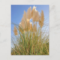 Tall Grass and Hyacinths at Island Park, NY.