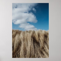 Tall grass under cumulus clouds