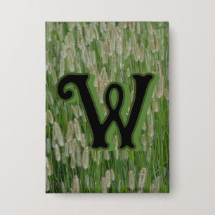 Tall Green Grasses Seeds