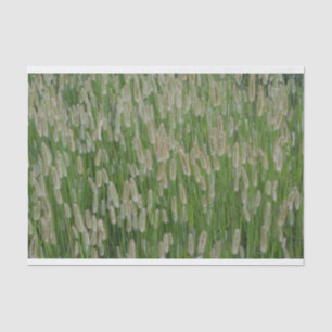 Tall Green Grasses Seeds Tissue Paper