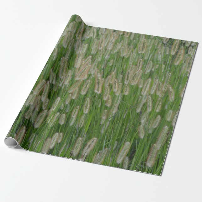 Tall Green Grasses Seeds Wrapping Paper (Unrolled)