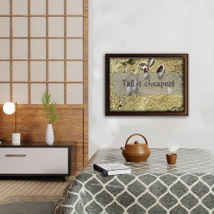 Tall is cheapest wisdom saying poster