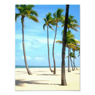 Tall Palm Trees on Beach Photo Print