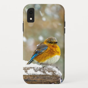 Tall Phone 1 Case-Mate iPhone Case