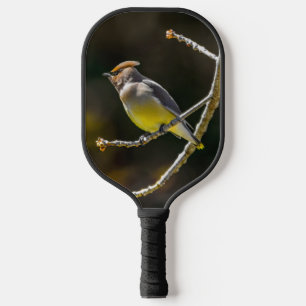 tall pickleball paddle