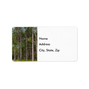 Tall Pines Label