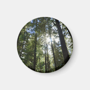 Tall Pines Magnet