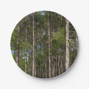 Tall Pines Paper Plate