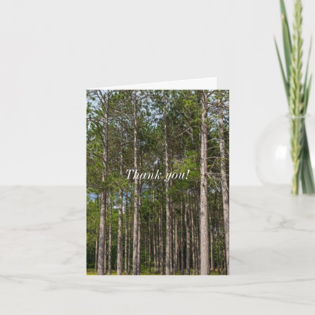 Tall Pines Thank You Card (Front)