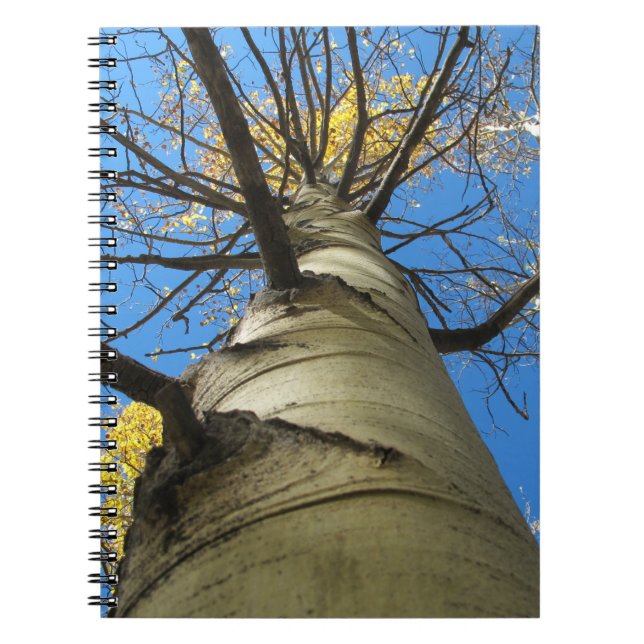 Tall Quaking Aspen Tree Spiral Notebook (Front)