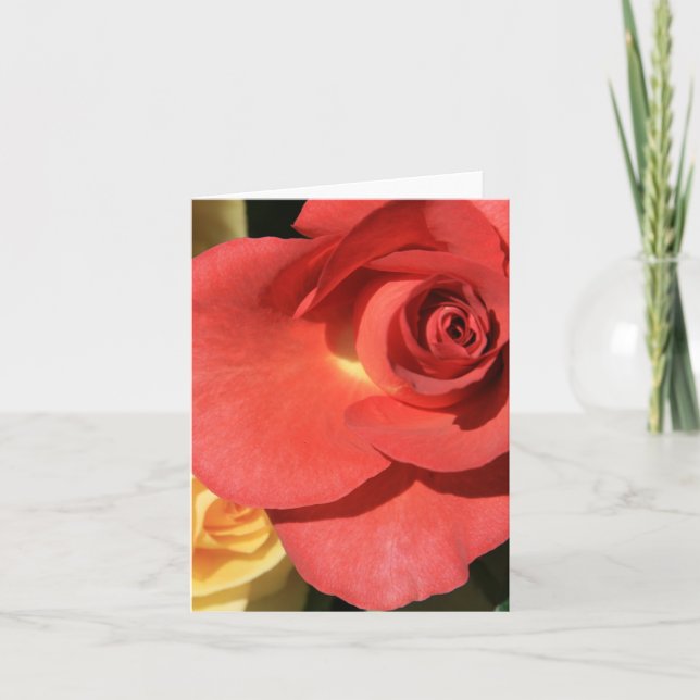 tall red rose card (Front)