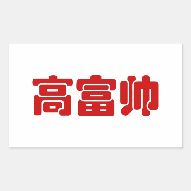 Tall, Rich & Handsome 高富帅 Chinese Hanzi MEME Rectangular Sticker (Front)