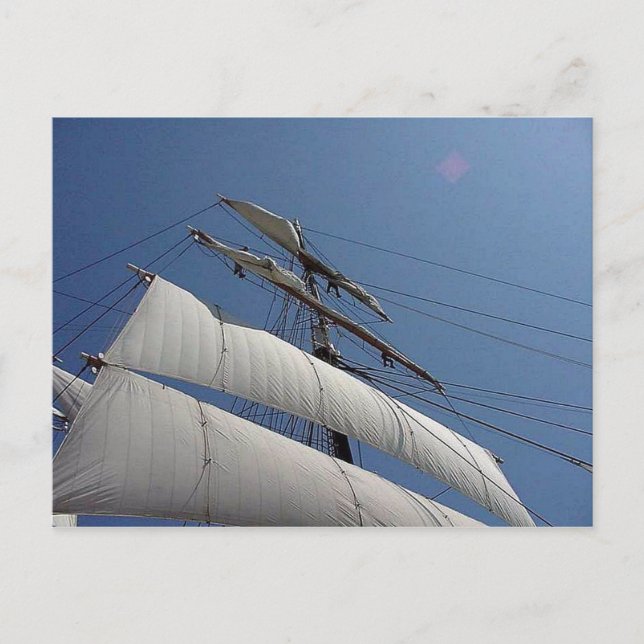Tall Ship Sails Postcard (Front)