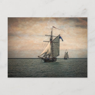 Tall Ships Festival Postcard