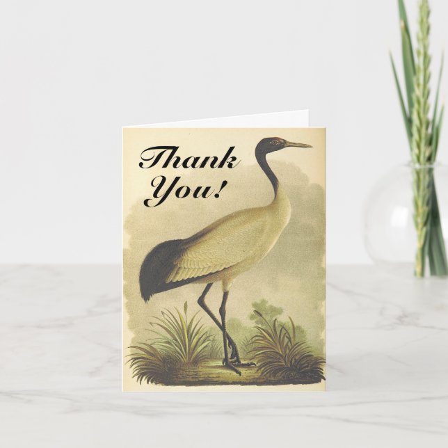 Tall Standing Bird Thank You Greeting Card (Front)