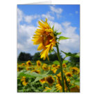 Tall Sunflower Card