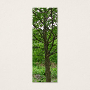 Tall Tree Bookmark