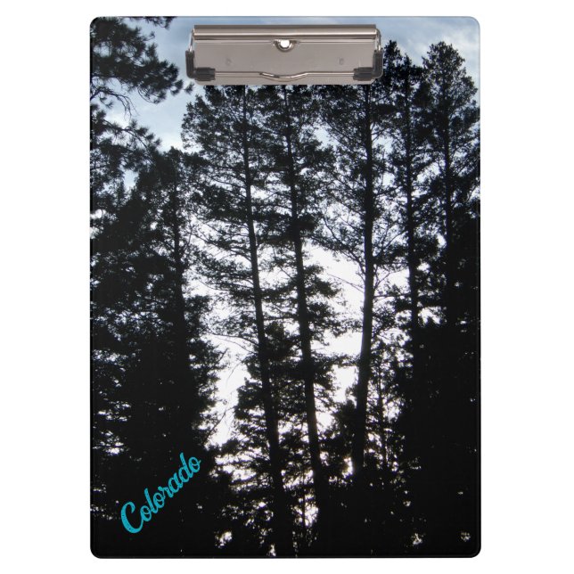 Tall Trees in CO Mountains Clipboard (Front)