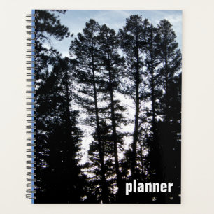 Tall Trees in CO Mountains Planner