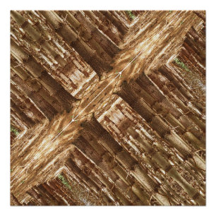 Tall trees poster