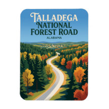 Talladega National Forest Road Alabama