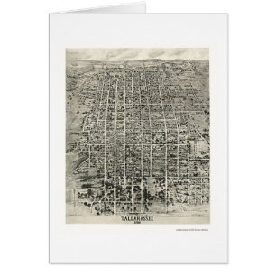 Tallahassee, FL Panoramic Map - 1926