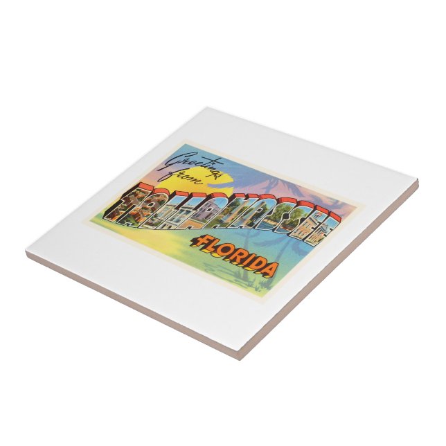 Tallahassee Florida FL Old Vintage Travel Souvenir Tile (Side)