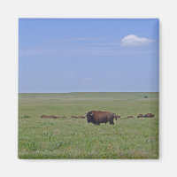 Tallgrass Prairie National Preserve - Kansas