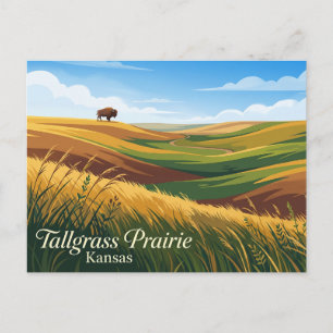 Tallgrass Prairie National Preserve USA Postcard