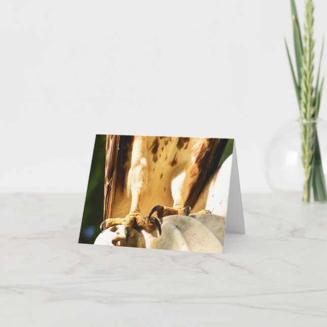 Talons (Red-tailed Hawk #2) - Blank Note Card (Front)