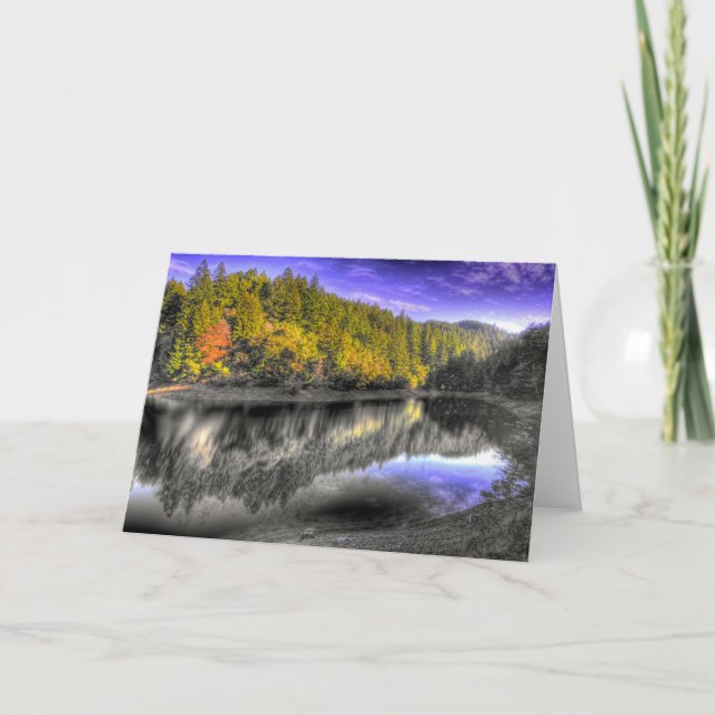 Tam Tree Reflection Card (Front)