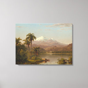 Tamaca Palms along the Magdalena River in Colombia Canvas Print