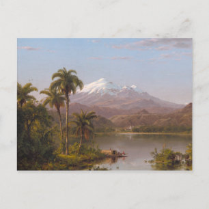 Tamaca Palms along the Magdalena River in Colombia Postcard