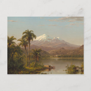 Tamaca Palms along the Magdalena River in Colombia Postcard