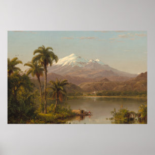 Tamaca Palms along the Magdalena River in Colombia Poster