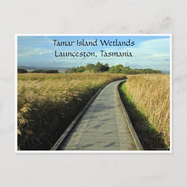 tamar wetlands paths postcard (Front)