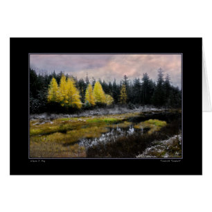 Tamarack Tempest
