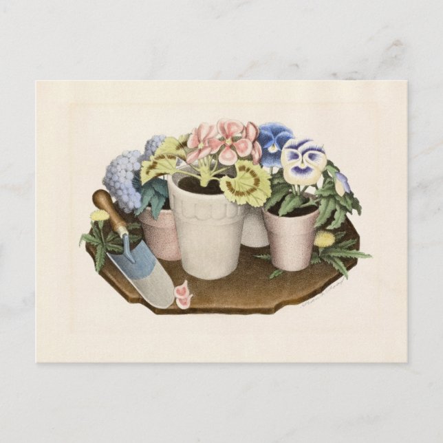 Tame Flowers by Grant Wood Postcard (Front)