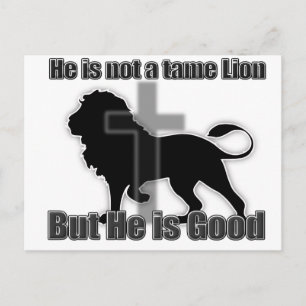 Tame Lion Postcard