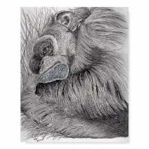 Tammy the Chimp - Foam Board