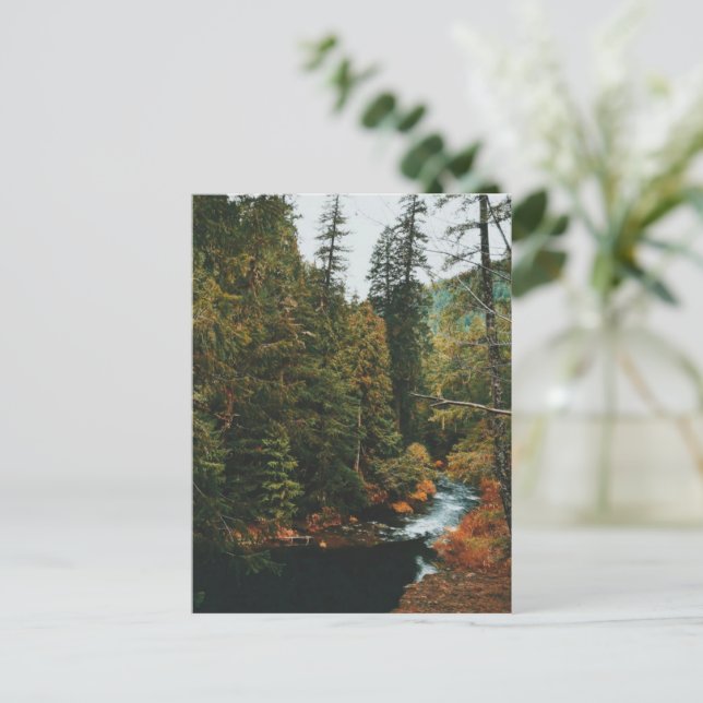 Tamolitch Falls ( Blue Pool)    Holiday Postcard (Standing Front)