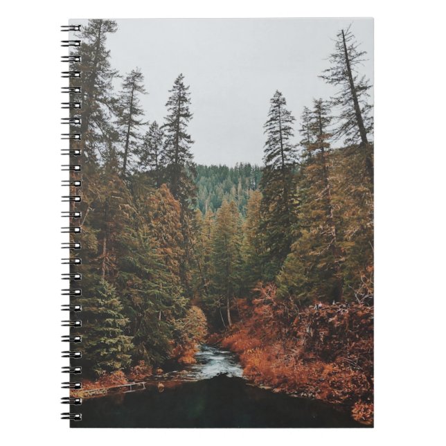 Tamolitch Falls ( Blue Pool)    Notebook (Front)