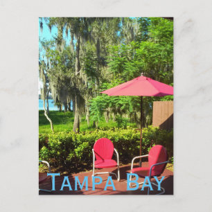 Tampa Bay Florida Postcard